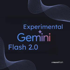 gemini flash 2.0-cover